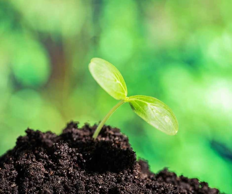 Soil Health Glossary - Soil Image