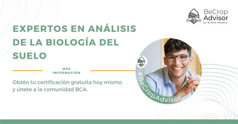 [Spanish] BeCrop Advisor - LinkedIn