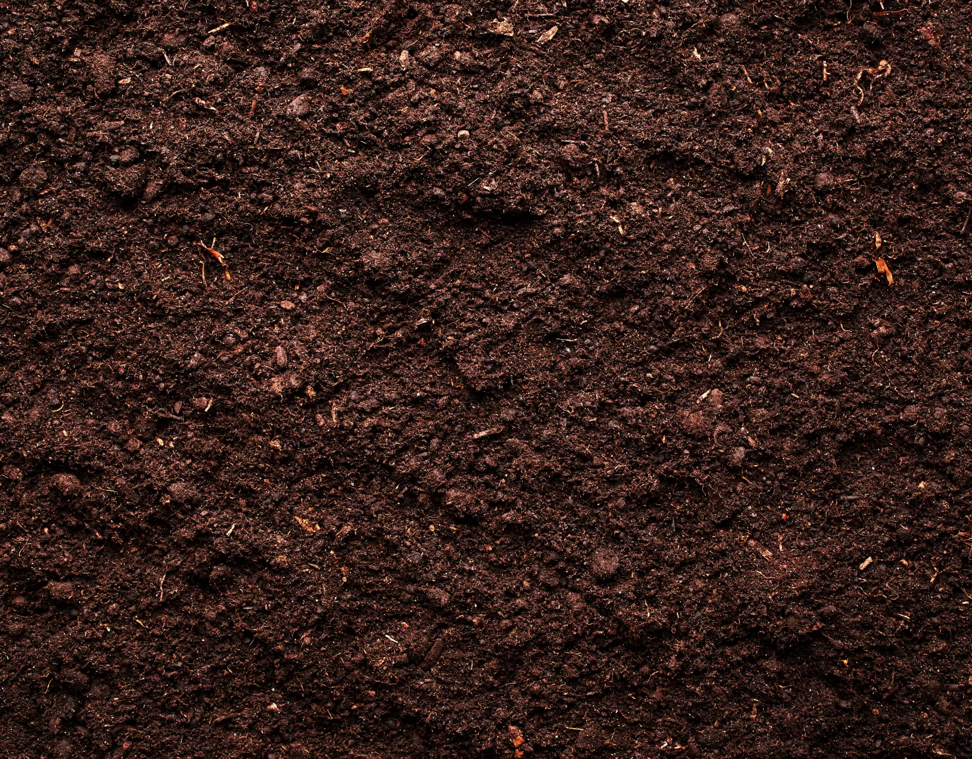 The physical and chemical dimensions of soil health